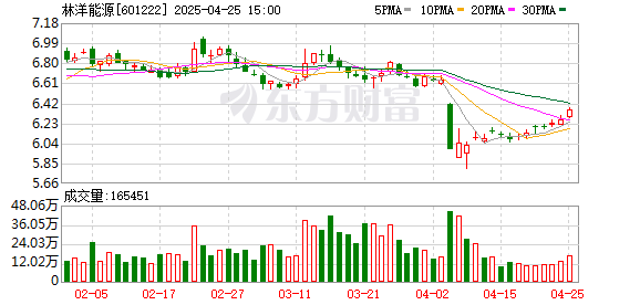 北京炒股配资 林洋能源：2024年实现营业收入67.42亿元，构建全球化发展新格局